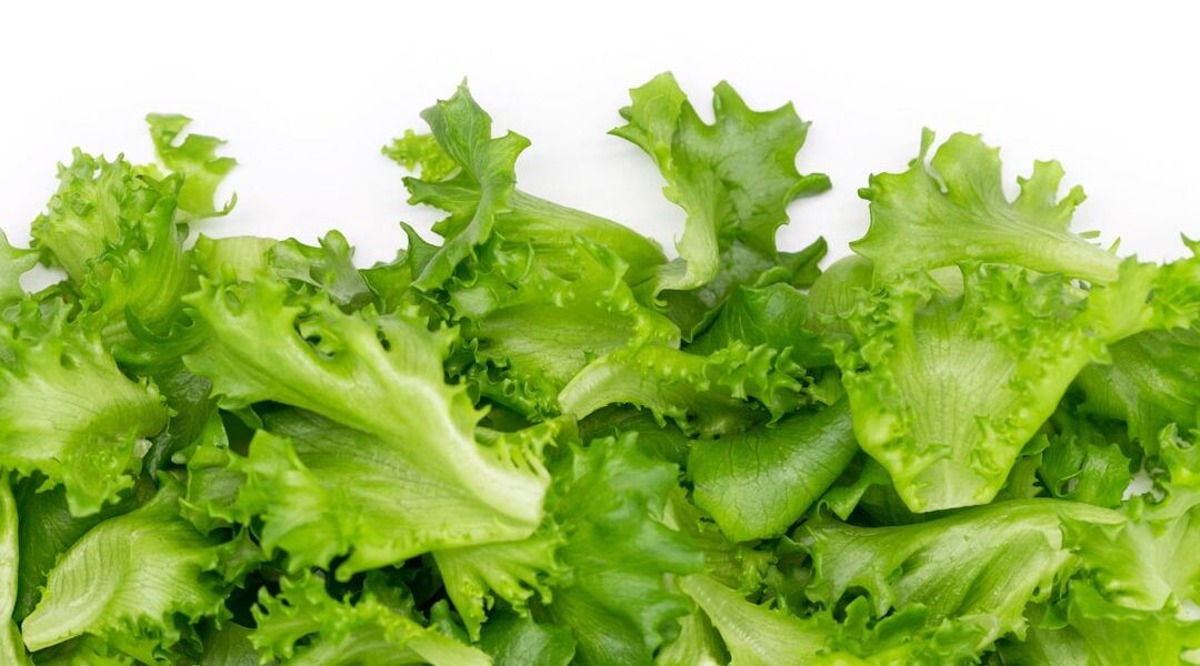 Photo Fresh vegetables