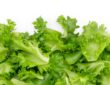 Photo Fresh vegetables