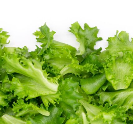 Photo Fresh vegetables