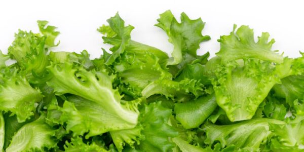 Photo Fresh vegetables