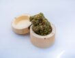 Photo Herbal remedies