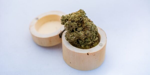 Photo Herbal remedies