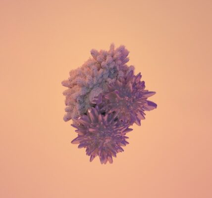 Photo immunostymulujące