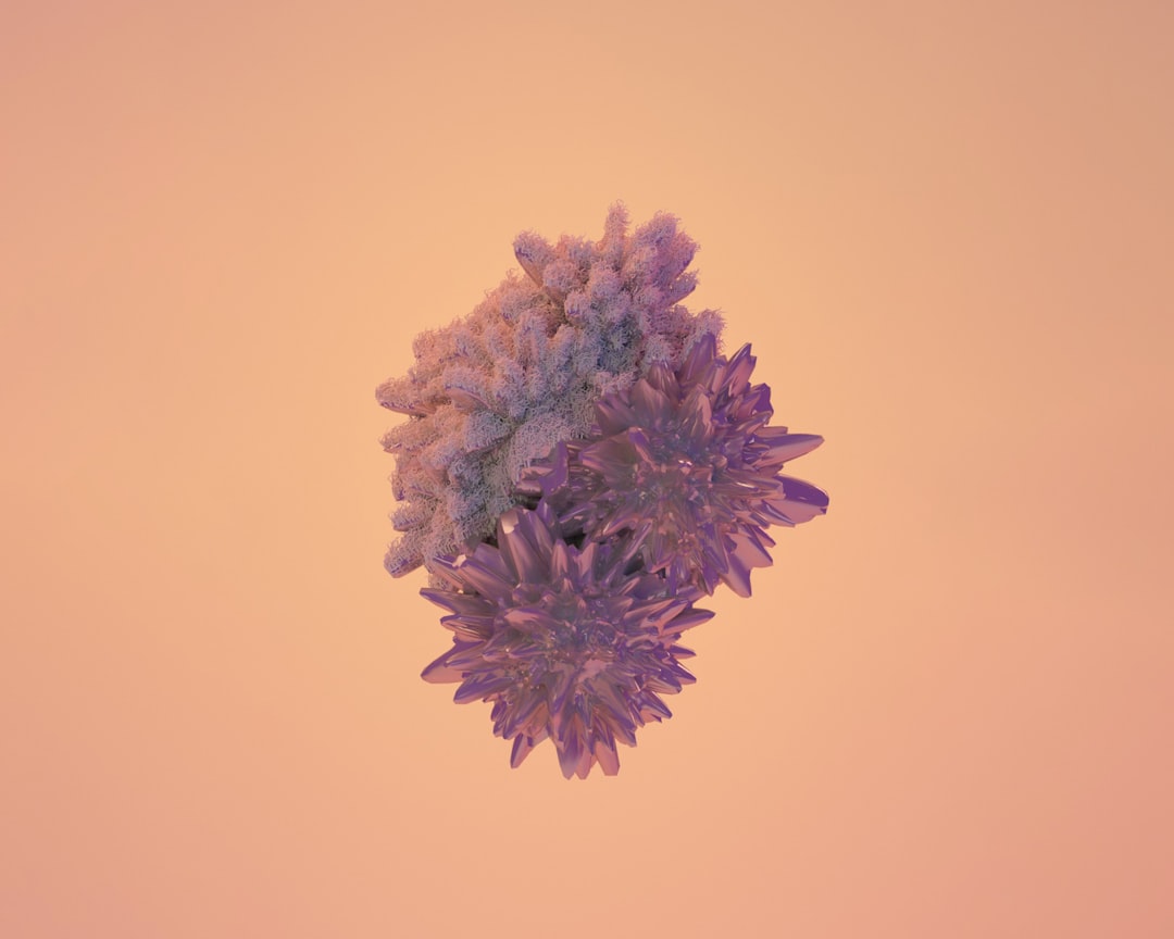 Photo immunostymulujące