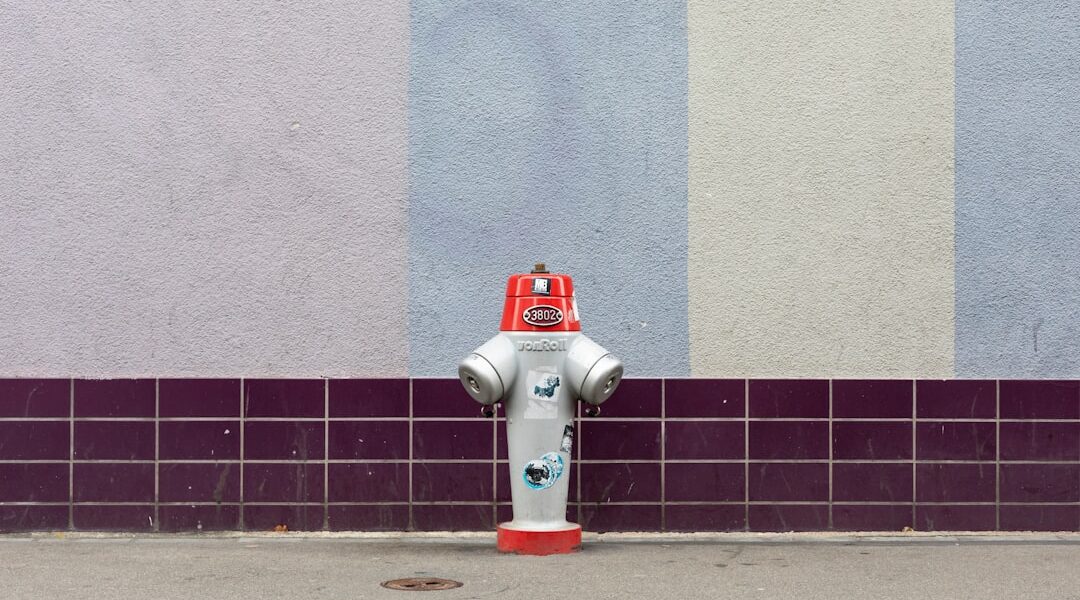 Photo Social robots