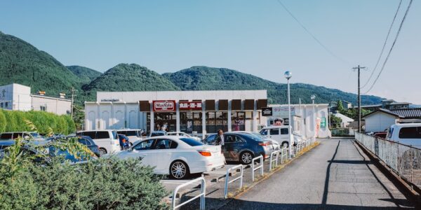 Photo vehicle inspection station