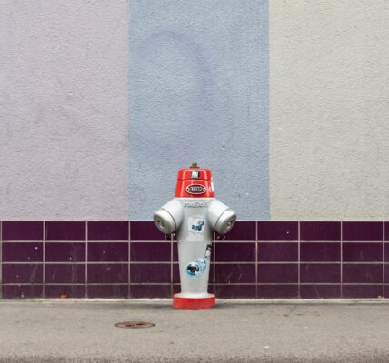 Photo Social robots