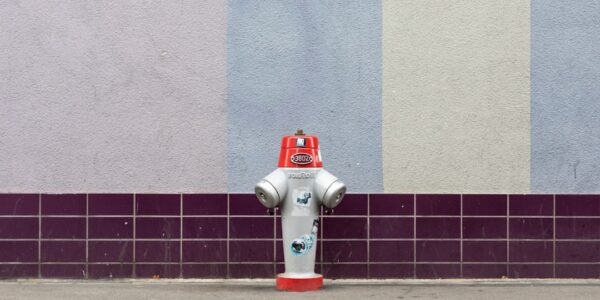 Photo Social robots