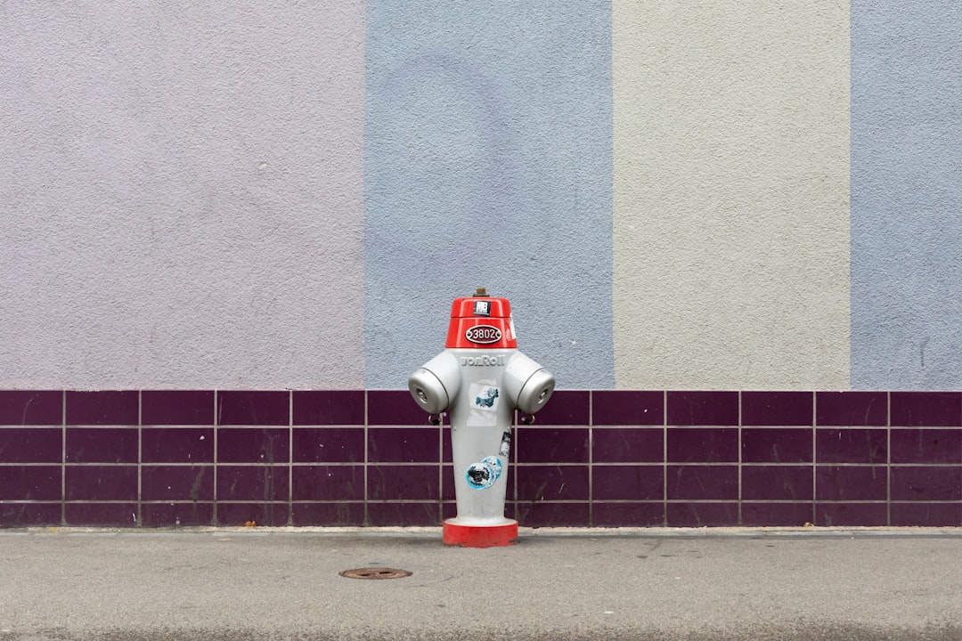 Photo Social robots