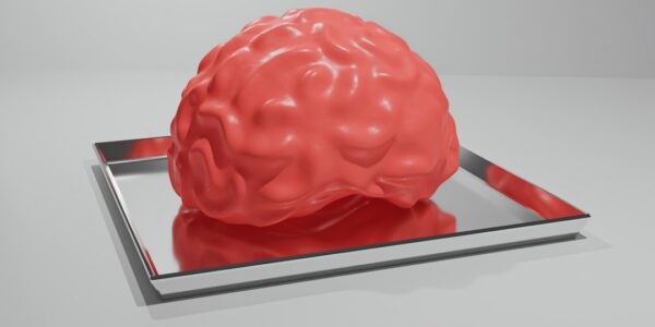 Photo brain-computer interface