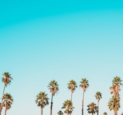 Photo Biobaterie organiczne