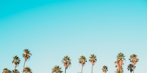 Photo Biobaterie organiczne